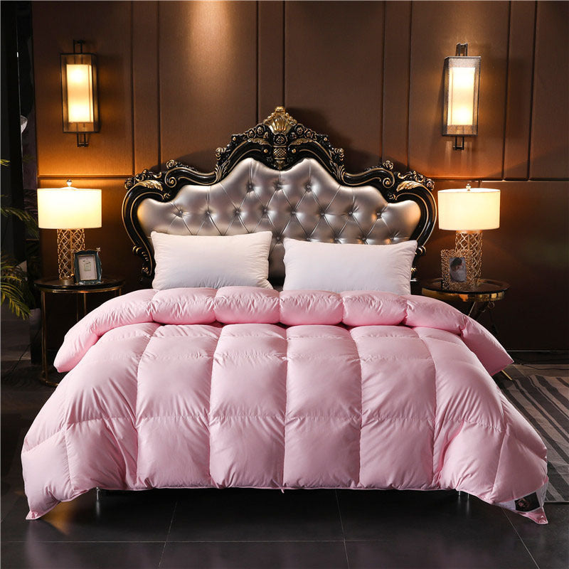 Hotel B&B duvet 95% white goose down quilt duck down summer cool quilt spring autumn winter quilt down four seasons quilt core