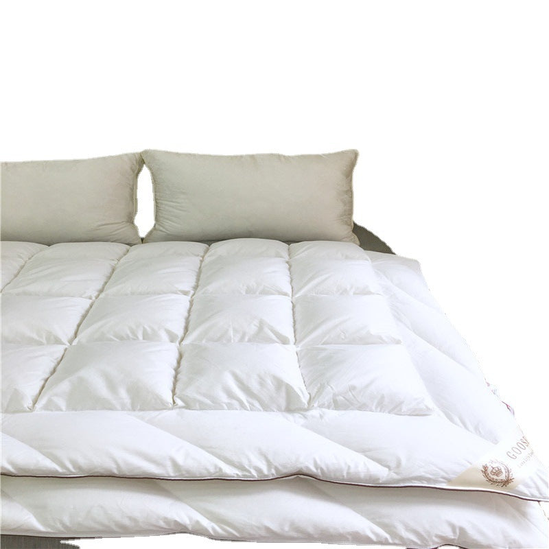 New B&B Hotel Duvet Multi-dimensional Space 120 Tribute Satin 95% White Goose Down Quilt Double Single Quilt Core Winter Quilt