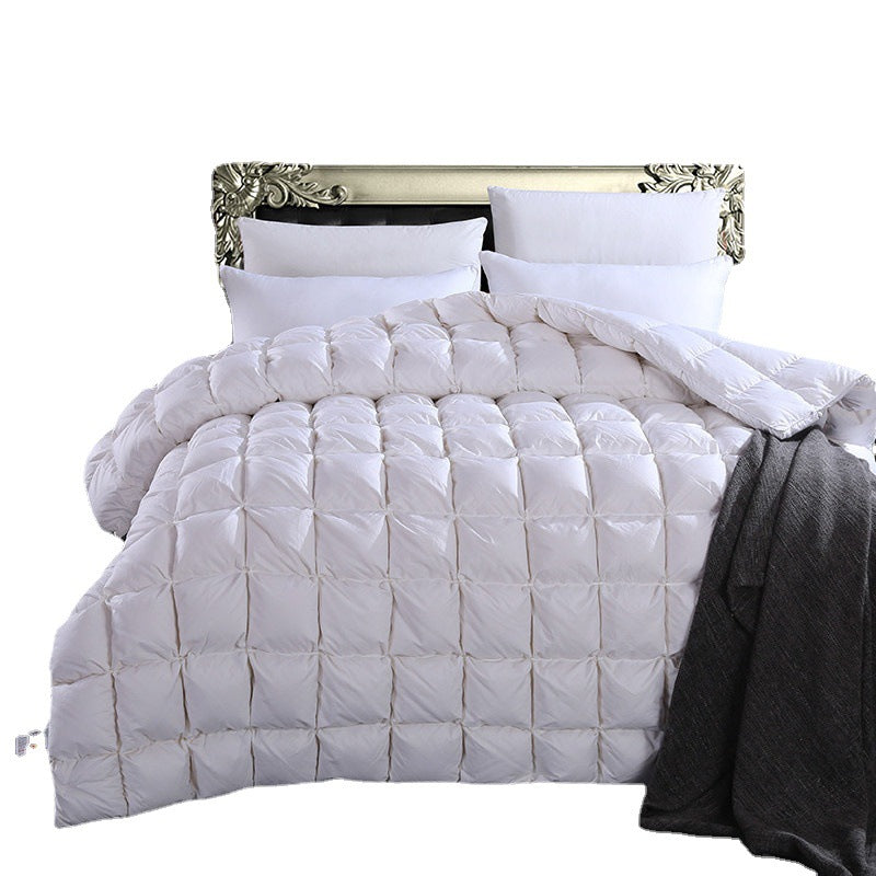 Hotel 95% white goose down winter quilt hanging goose down quilt Hungarian goose down spring and autumn quilt thickened warm bread quilt core
