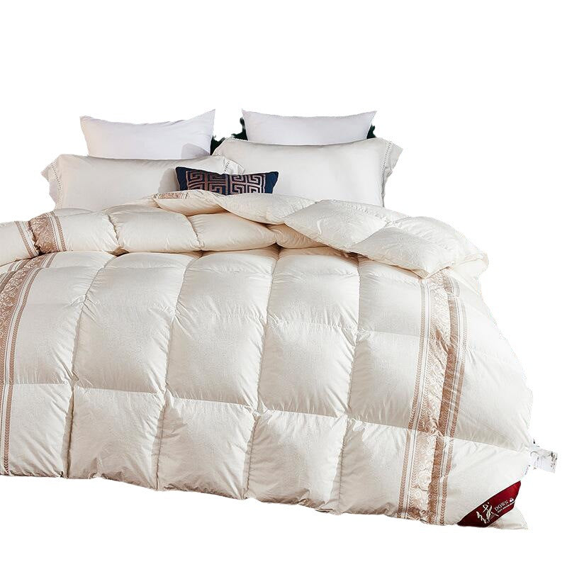 160 goose down duvet thickened 95 white goose down winter quilt Hungarian hanging velvet spring and autumn quilt core