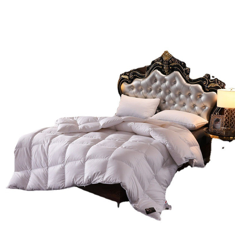 Hotel B&B duvet 95% white goose down quilt duck down summer cool quilt spring autumn winter quilt down four seasons quilt core