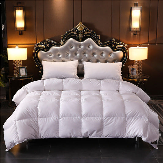 Hotel B&B duvet 95% white goose down quilt duck down summer cool quilt spring autumn winter quilt down four seasons quilt core