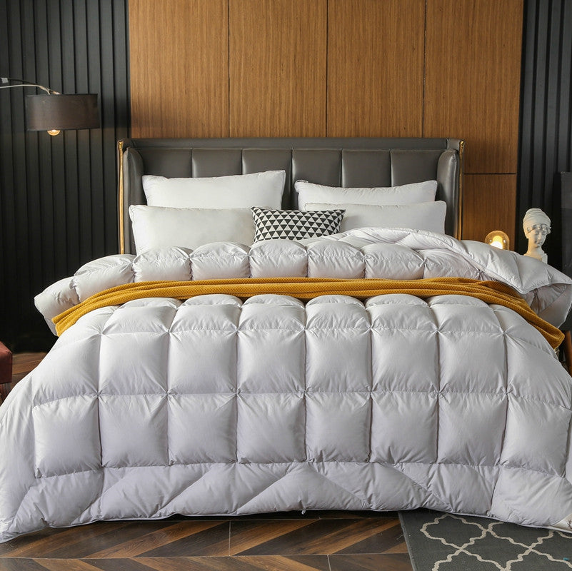 New B&B Hotel Duvet Multi-dimensional Space 120 Tribute Satin 95% White Goose Down Quilt Double Single Quilt Core Winter Quilt