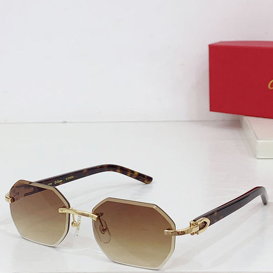 Fashion CT0439S Sunglasses