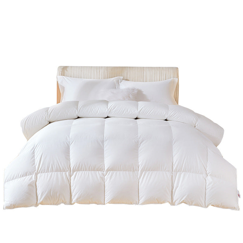 95 white goose down duvet core spring and autumn quilt thickened winter quilt hotel goose down duvet